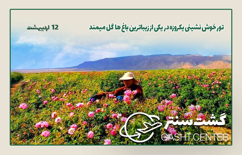 تور میمند