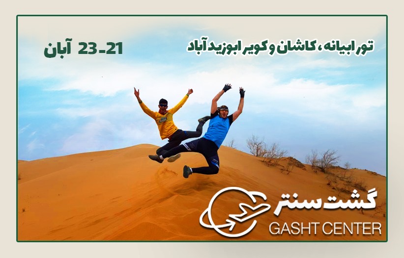 تور ابیانه و کاشان